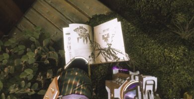 Ubicaciones de archivos de casos EDZ en Destiny 2
