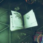 Ubicaciones de archivos de casos de Nessus en Destiny 2