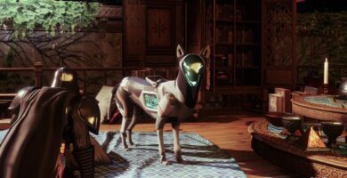 Cómo encontrar a Archie en la torre en Destiny 2