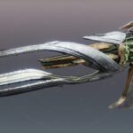 Cómo completar Oblation Bloodline en Destiny 2