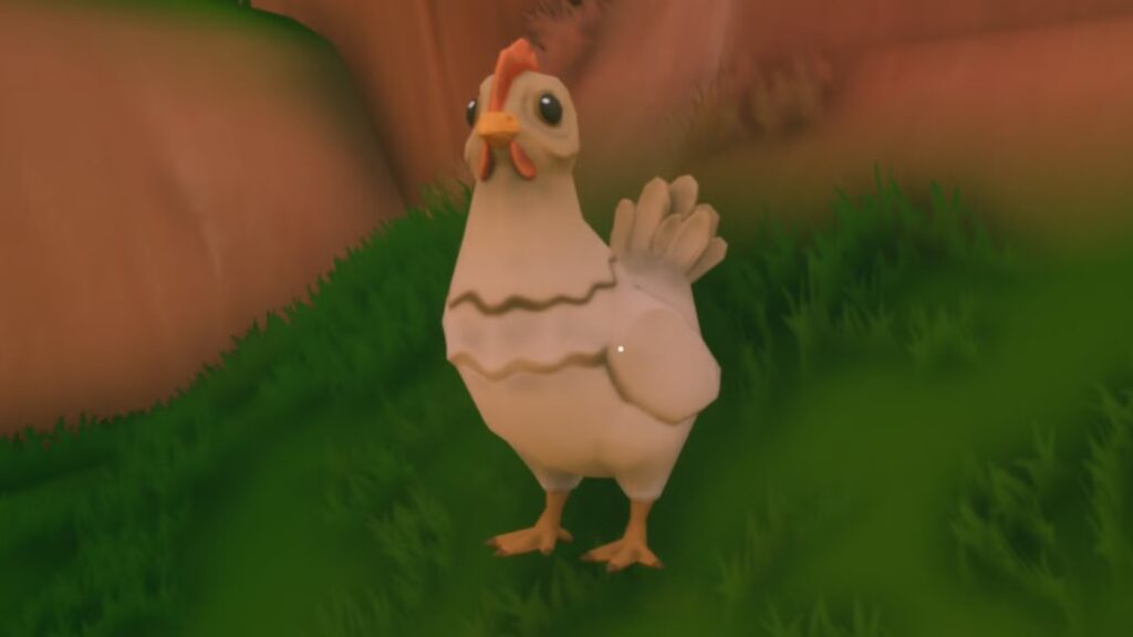 Cómo conseguir huevos y gallina