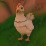 Cómo conseguir huevos y gallina