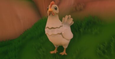 Cómo conseguir huevos y gallina