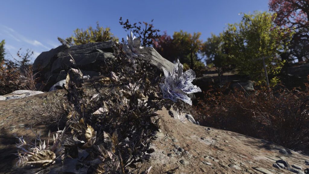 Dónde encontrar flores de hollín tóxicas en Fallout 76