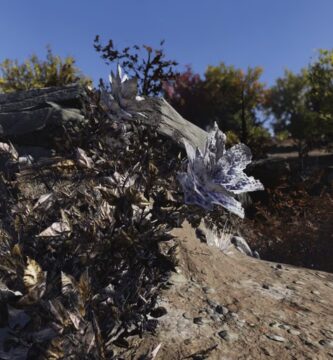Dónde encontrar flores de hollín tóxicas en Fallout 76