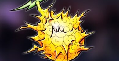 One Piece da la bienvenida oficialmente a su nueva fruta del diablo Paramecia, la más fuerte